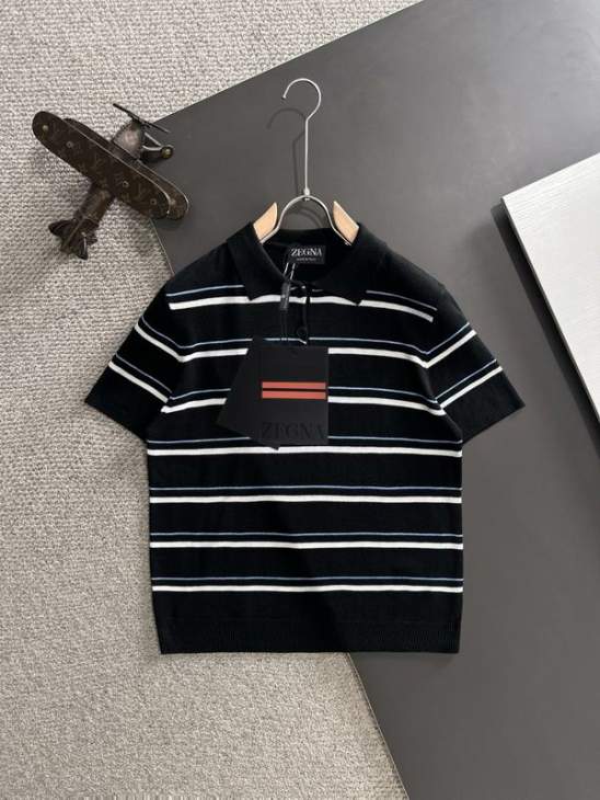 Picture of Zegna Sweaters _SKUZegnaM-3XLxetr2049107
